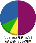 愛昭工業 貸借対照表 2011年2月期