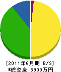 神沢建設 貸借対照表 2011年6月期