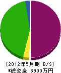 坂田建設 貸借対照表 2012年5月期