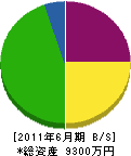 松田建設 貸借対照表 2011年6月期