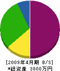 松川工務店 貸借対照表 2009年4月期