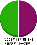 タカムラ畳装 貸借対照表 2009年12月期
