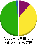 髙橋電業所 貸借対照表 2009年12月期