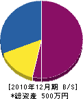 長島園芸 貸借対照表 2010年12月期