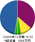 櫻デンキ 貸借対照表 2009年12月期