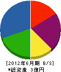 松野塗装工業 貸借対照表 2012年6月期
