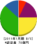 多摩川電気 貸借対照表 2011年1月期