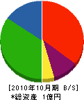 田中塗装 貸借対照表 2010年10月期