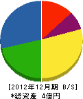 湯川王冠 貸借対照表 2012年12月期