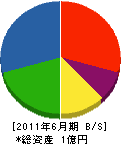 井上技研 貸借対照表 2011年6月期