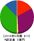 豊島産業 貸借対照表 2010年6月期