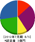 神成工業 貸借対照表 2012年7月期