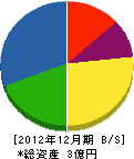 丸朋堀川建設 貸借対照表 2012年12月期