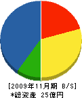 日本海建設 貸借対照表 2009年11月期