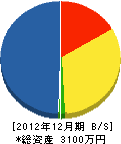 田崎造園 貸借対照表 2012年12月期