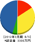 渡辺建設 貸借対照表 2012年3月期