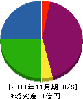 阪南メンテナンス 貸借対照表 2011年11月期