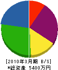 廣瀬組 貸借対照表 2010年3月期