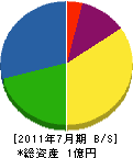 田中建築工業 貸借対照表 2011年7月期
