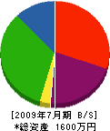 石川建設 貸借対照表 2009年7月期
