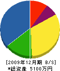 丸山興業 貸借対照表 2009年12月期