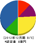 新潟道路 貸借対照表 2012年12月期