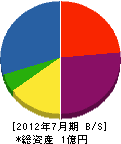 大塚材木店 貸借対照表 2012年7月期