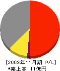九州ＡＶ 損益計算書 2009年11月期