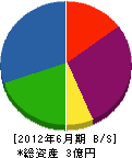 平賀 貸借対照表 2012年6月期