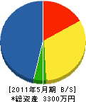 片山庭園 貸借対照表 2011年5月期