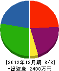 横川組 貸借対照表 2012年12月期