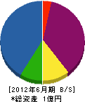 中村電気工事 貸借対照表 2012年6月期