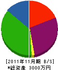 岡伸工業 貸借対照表 2011年11月期