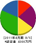 菅設備 貸借対照表 2011年4月期