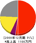 平沢板金 損益計算書 2008年12月期
