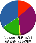 柴田電気 貸借対照表 2012年7月期