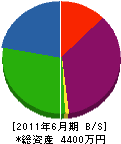 青柳電機 貸借対照表 2011年6月期