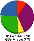 昭和電気商会 貸借対照表 2011年7月期