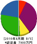 日和田林産 貸借対照表 2010年4月期