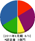 栄伸工業 貸借対照表 2011年6月期