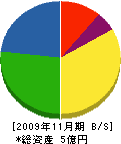 古川工務店 貸借対照表 2009年11月期