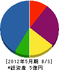 豊田建設 貸借対照表 2012年5月期