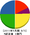 遠藤組 貸借対照表 2011年5月期