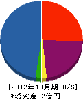 竹内建設 貸借対照表 2012年10月期