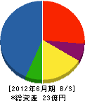 沖縄特電 貸借対照表 2012年6月期
