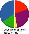 飯田産業 貸借対照表 2009年6月期