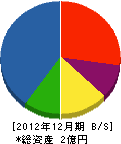 青松園 貸借対照表 2012年12月期