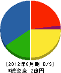 袴田組 貸借対照表 2012年8月期