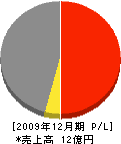 島田組 損益計算書 2009年12月期