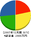 廣瀬建設工業 貸借対照表 2007年12月期